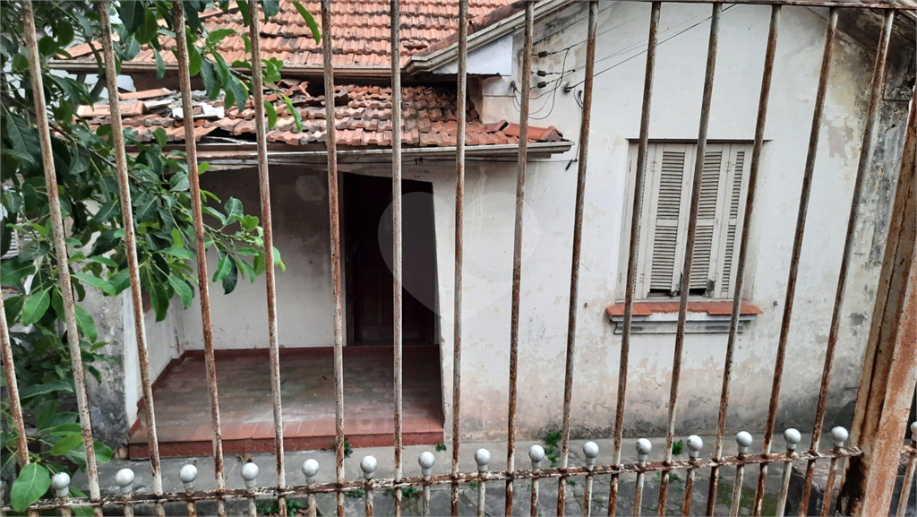 TERRENO em TUCURUVI