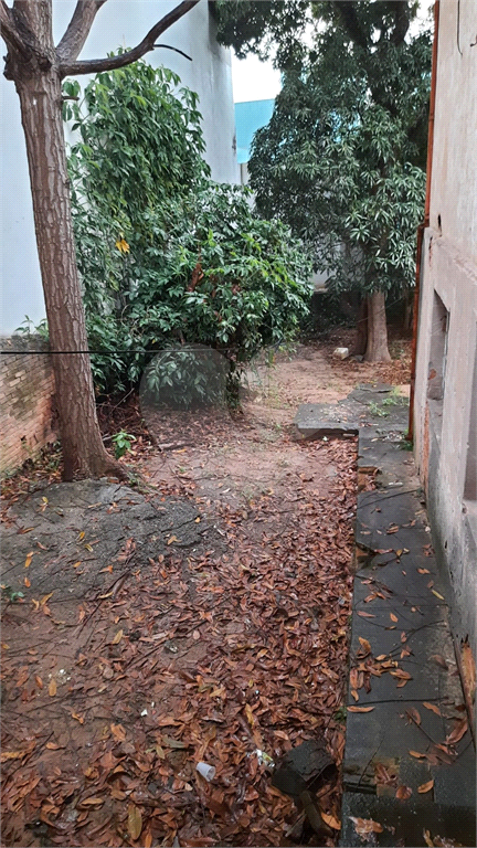 TERRENO em TUCURUVI