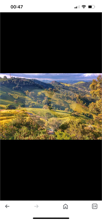 Chacara 4 Dormitórios 2500 metros Pedra Bela