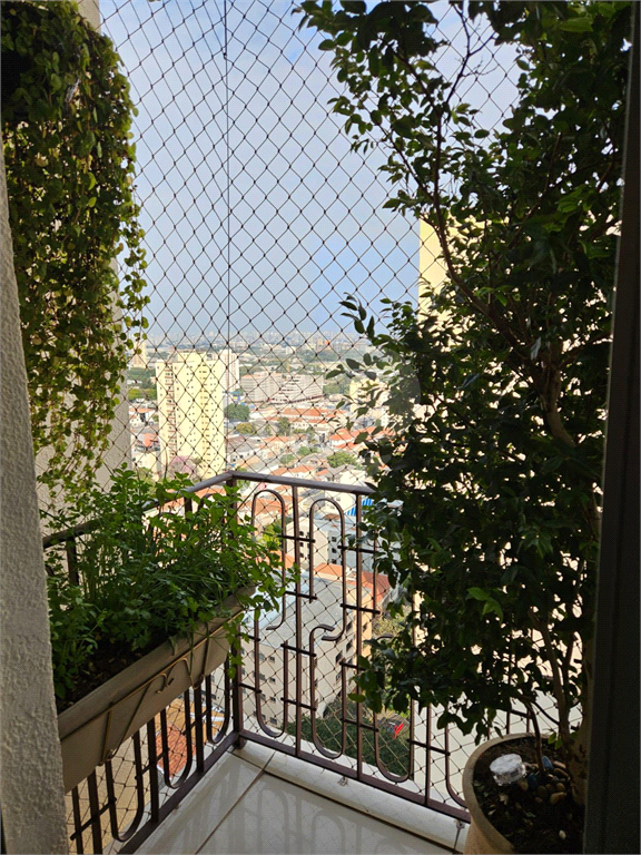 Apartamento com 3 dormitórios e 1 vaga com vista para o Campo de Marte - Zona Norte - SP