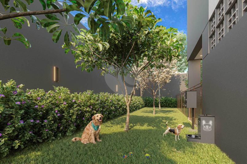 Pet Place