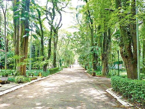 Parque Piqueri
