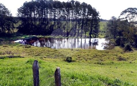 Lago Dos Pássaros Cotia Chácara Real (caucaia Do Alto) REM16942 6