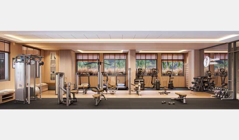 Fitness 