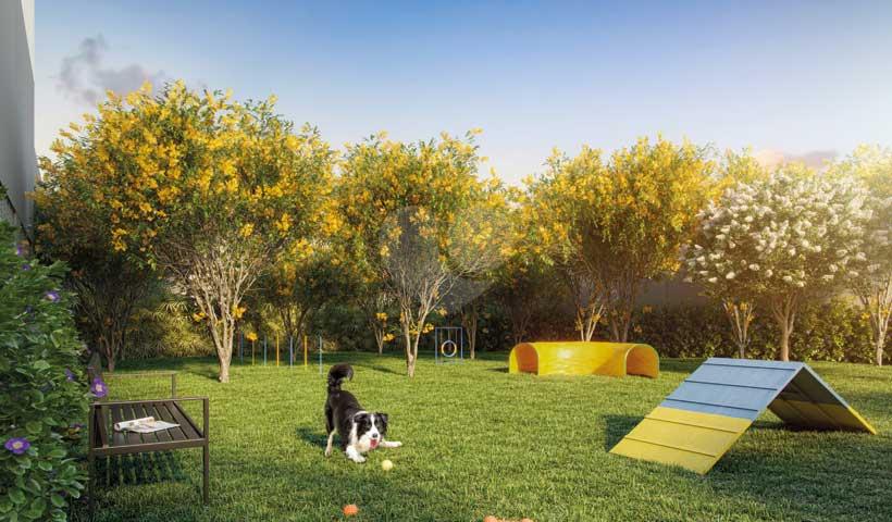 Pet Place