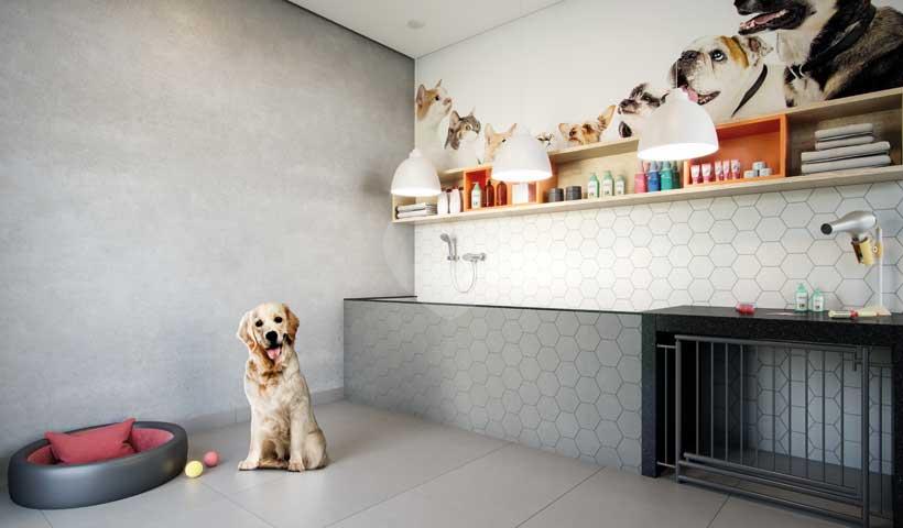 Pet Care