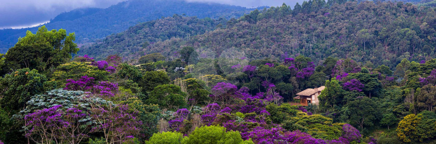 Vista Paisagem