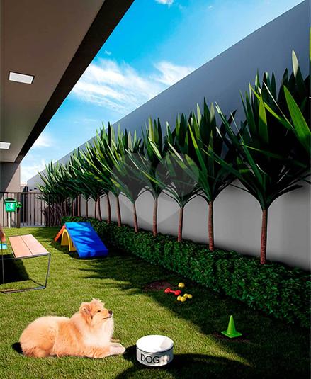 Pet Place