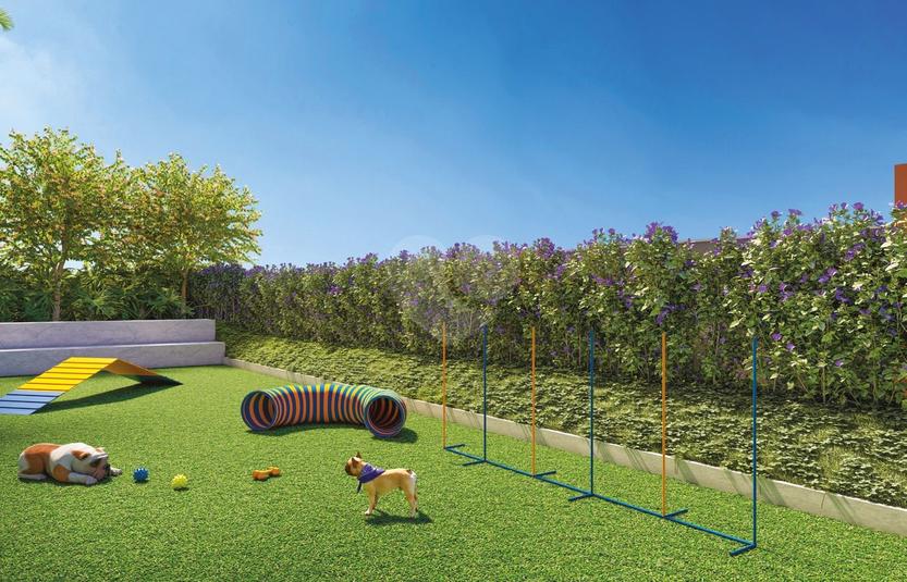 Pet Place