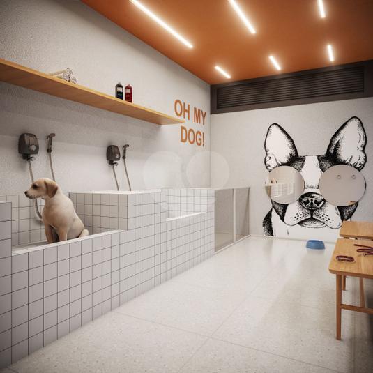 Pet Care