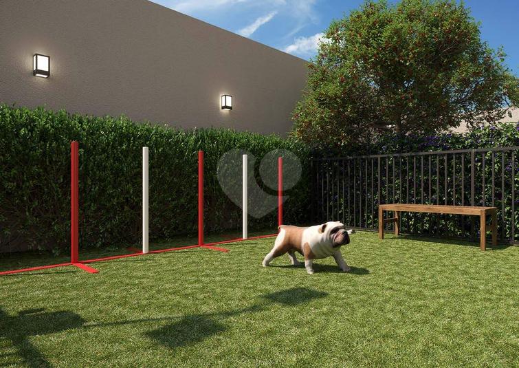 Pet Place