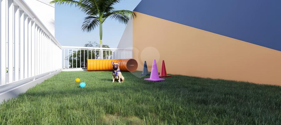 Pet Place