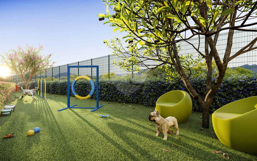 Pet Place