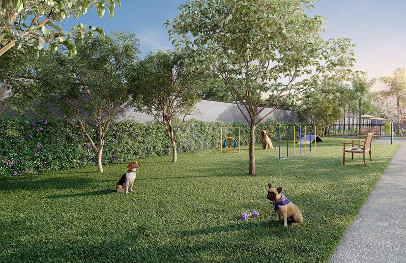 Pet Place