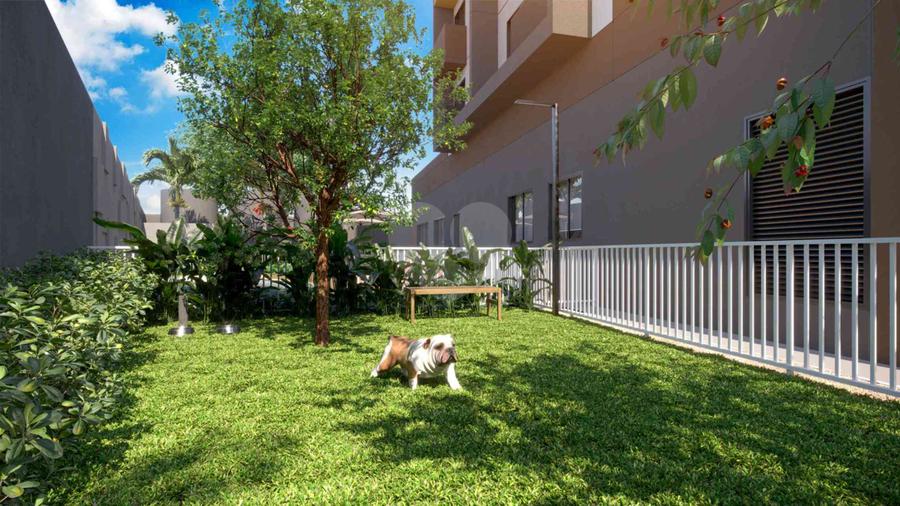 Pet Place