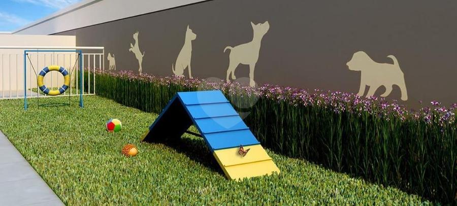 Pet Place