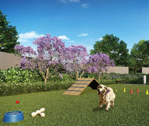 Pet Place