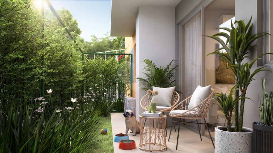 Garden