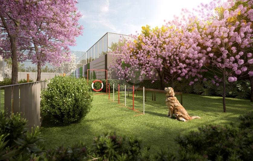 Pet Place 