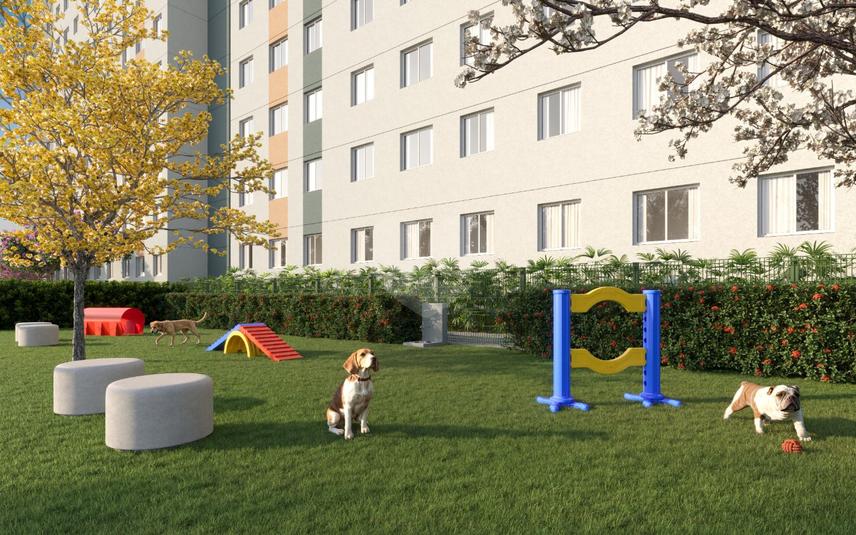 Pet Place