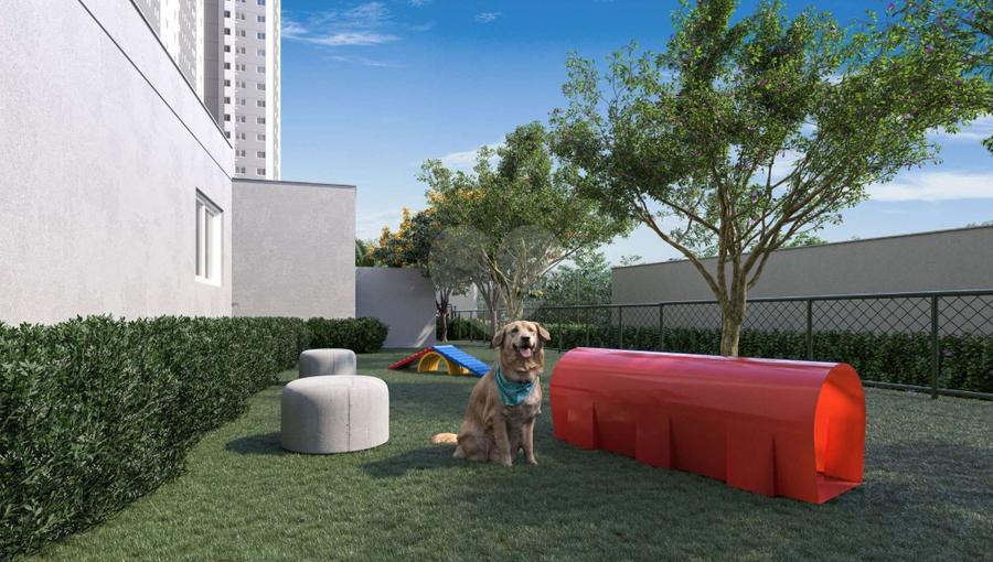 Pet Place