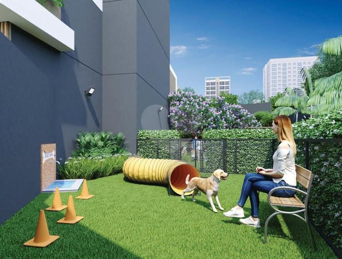 Pet Place