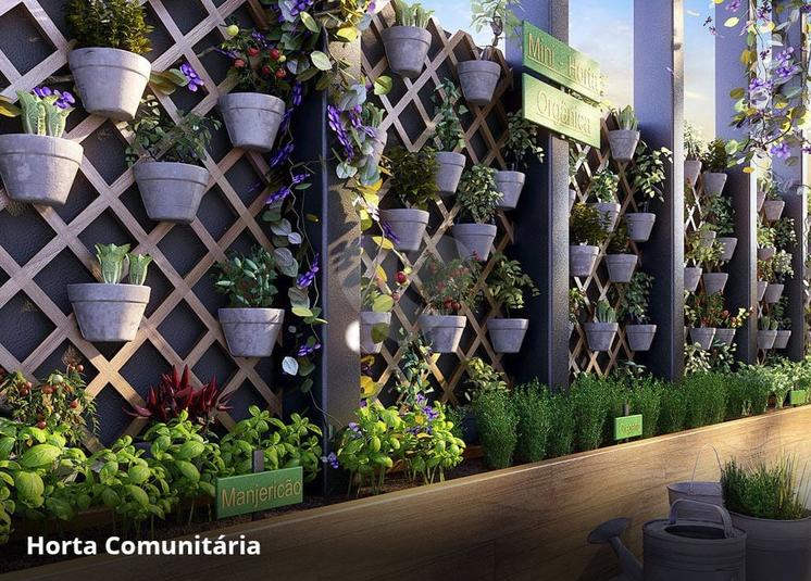 Horta Comunitária