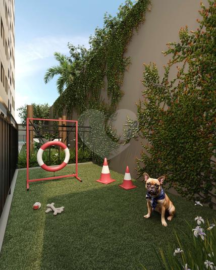 Pet Place