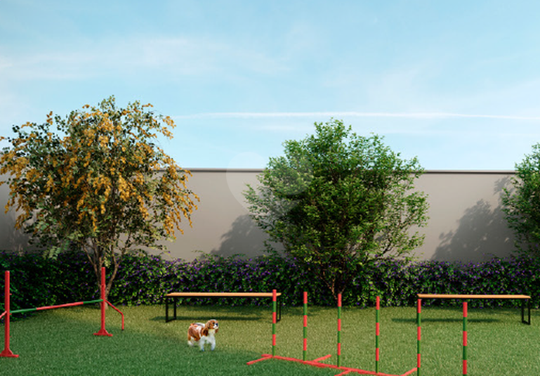 Pet place