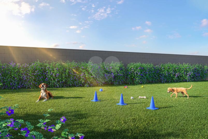Pet Place