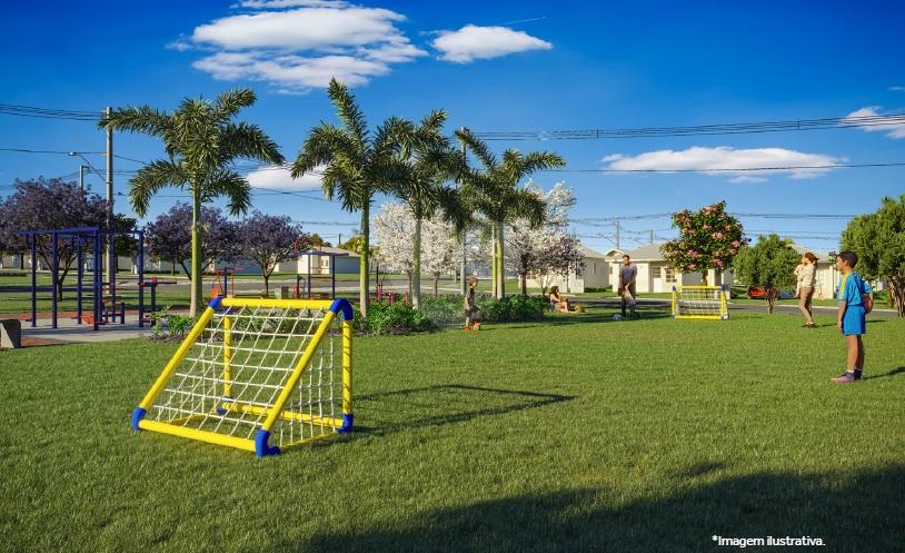 Campo gramado