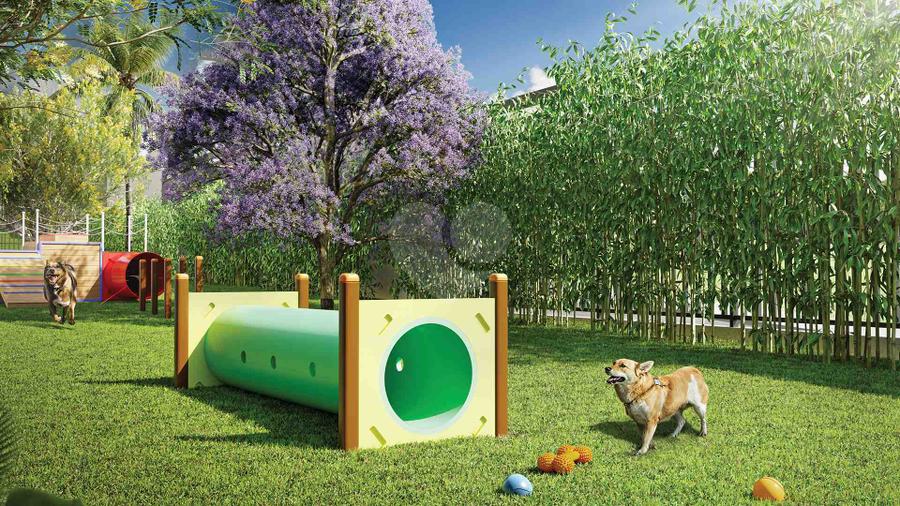 Pet Place