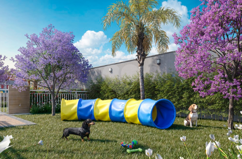 Pet Place