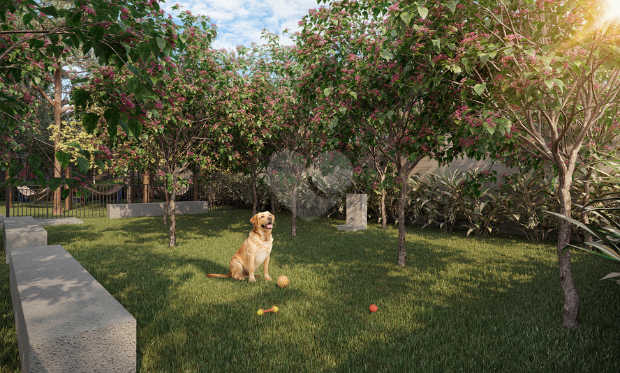 Pet Place