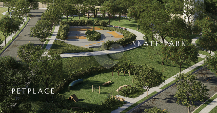 Skate Park