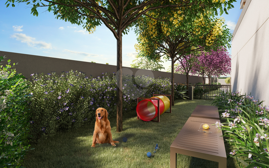 Pet Place
