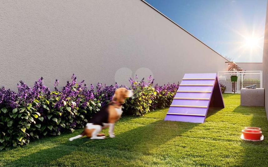 Pet Place