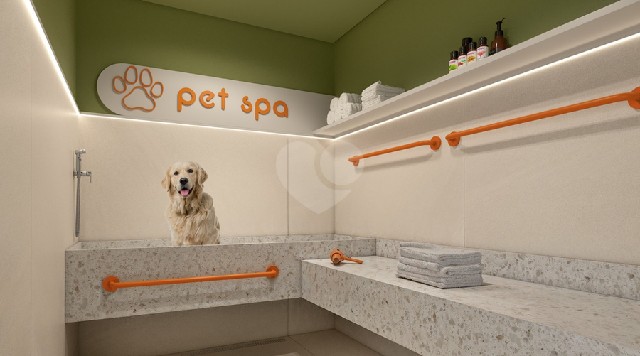 Pet Spa
