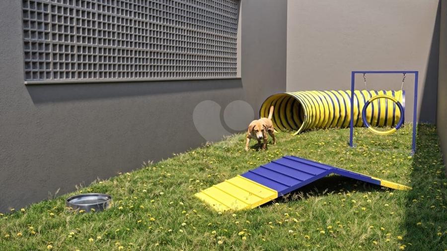 Pet Place