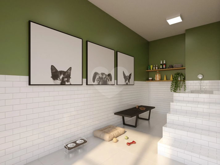 Pet Care
