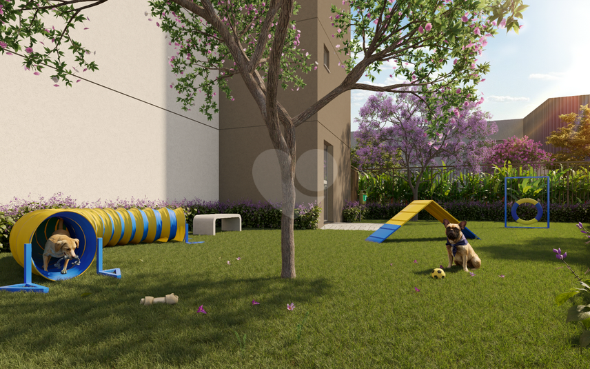 Pet Place