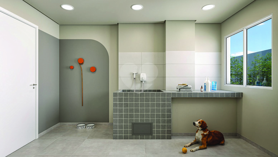 Pet Care