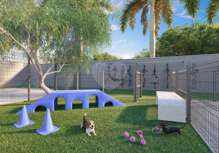 Pet Place