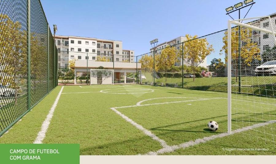 Campo de futebol com grama