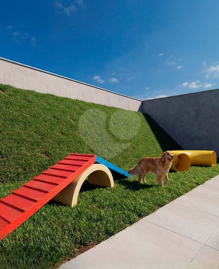 Pet Place