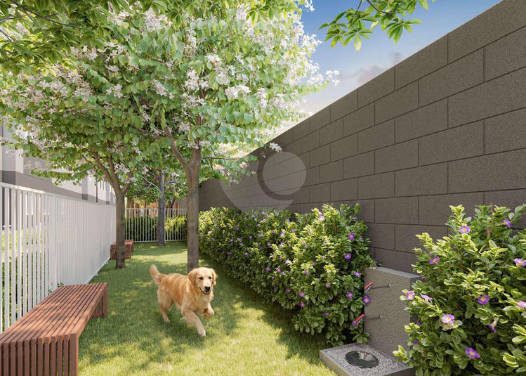 Pet Place