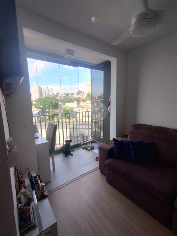 Venda Apartamento São Paulo Vila Constança REO1000182 11