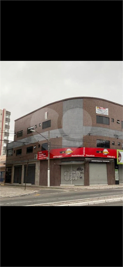 Foto REO1000361