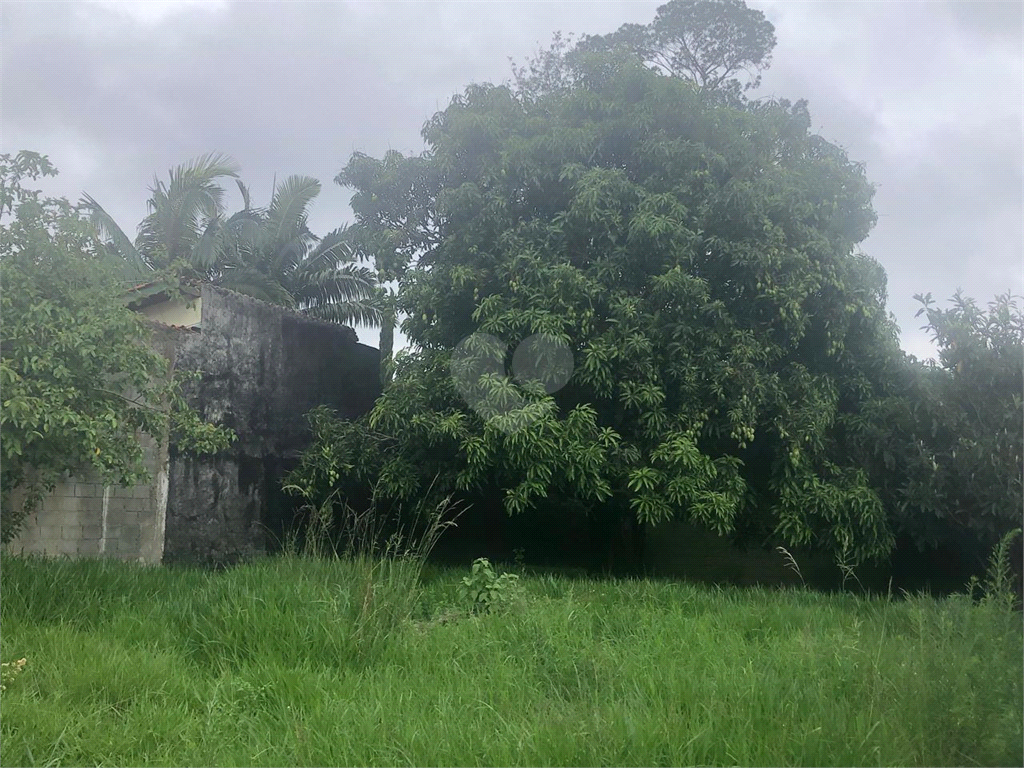 Venda Chácara Mairiporã Corumbá (terra Preta) REO1000368 33