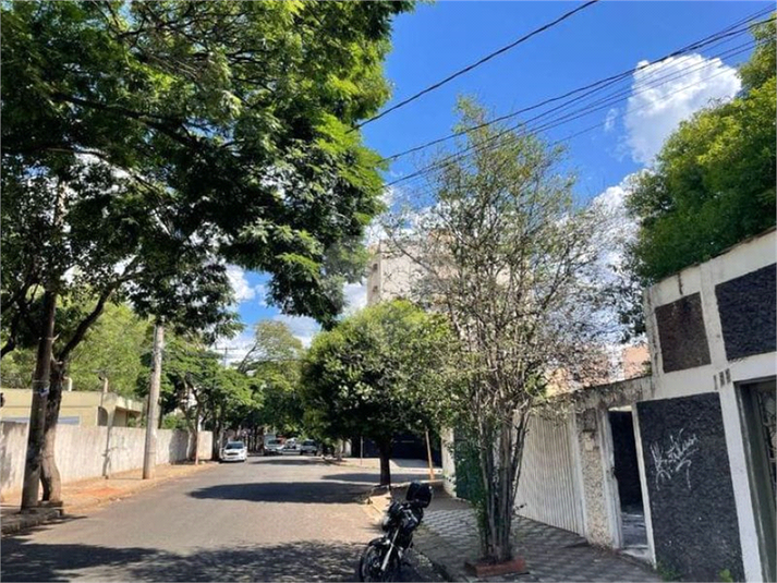 Foto REO1000576